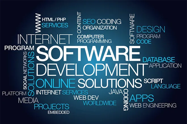 Software Company